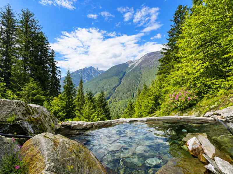 Upper Halfway River Warm Springs