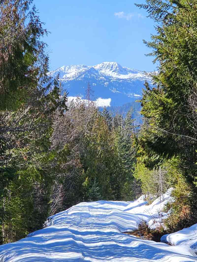 Photo Credit - Christian Bezille (AllTrails)