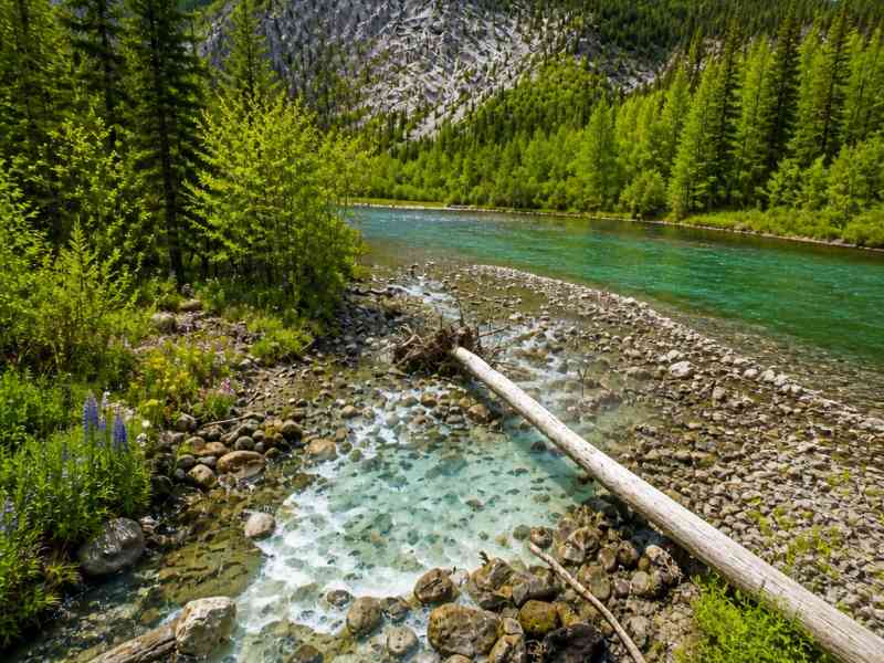 Toad Hot Springs