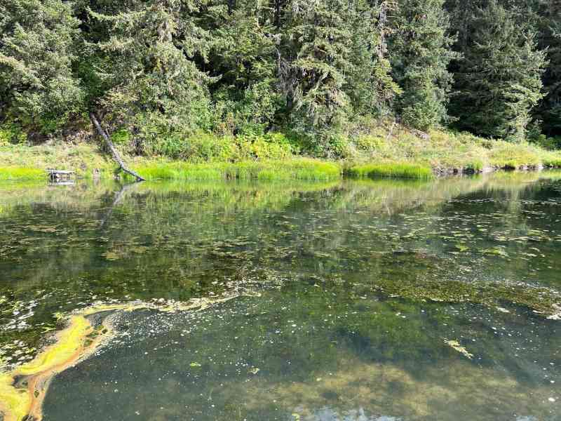 Photo Credit: bcparks.ca