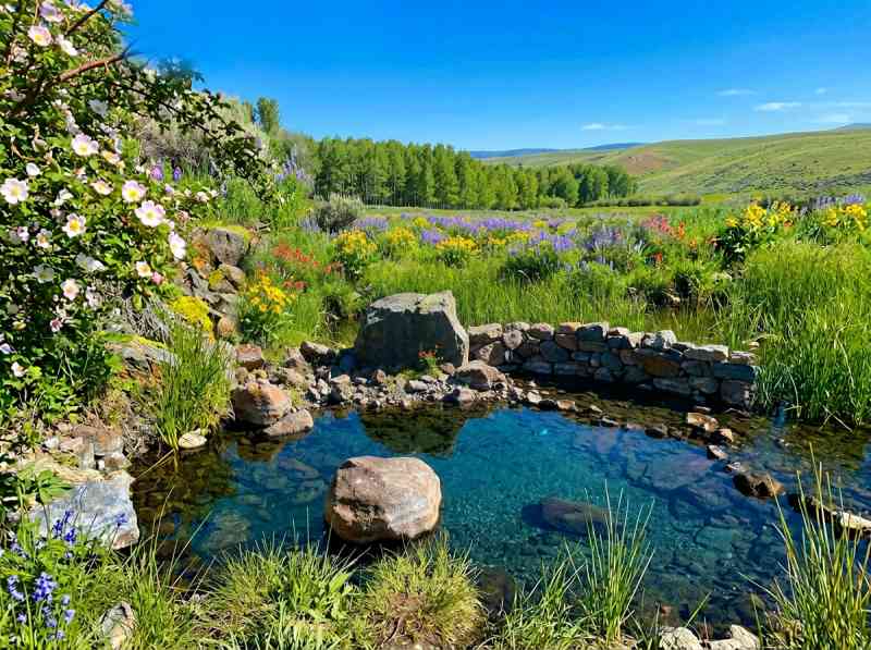 Barnes Lake (Paradise) Warm Springs