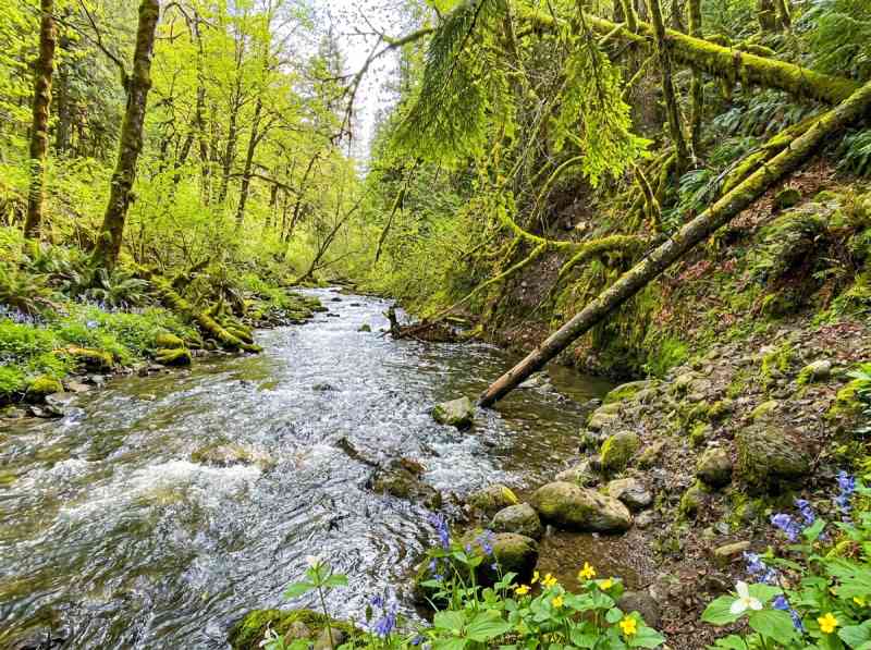 Hole-in-the-Wall Hot Springs
