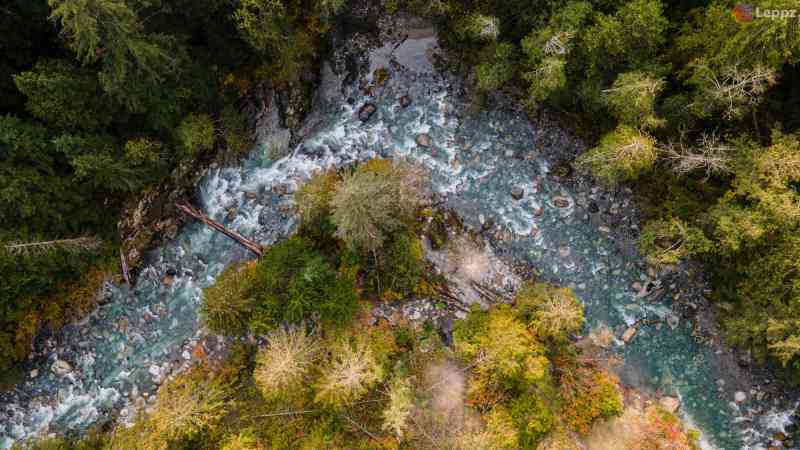 DJI_0233